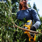 Dewalt 18V XR Beskjæringssaks DCMPP568P1