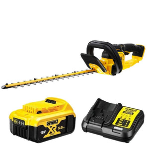 Dewalt 18V XR Hekksaks DCMHT563P1