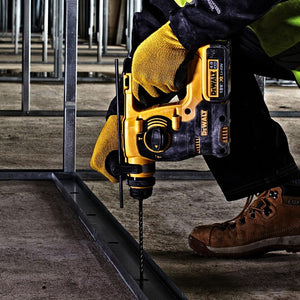 Dewalt 18V XR Borhammer DCH253N
